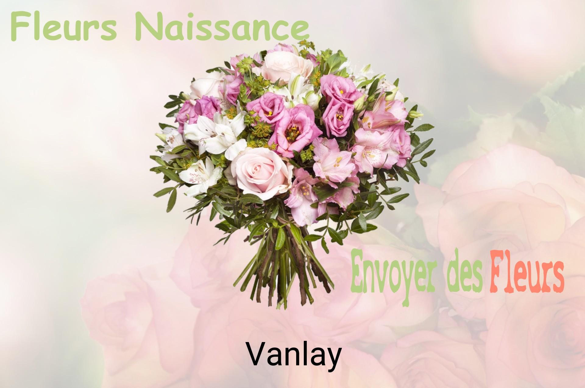 Bouquet de fleurs de naissance livré à Vanlay